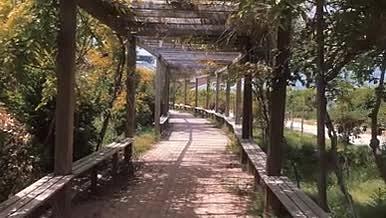 自然景观凉亭4K高清实拍视频素材视频的预览图